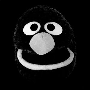 Meet your Posher, Noam